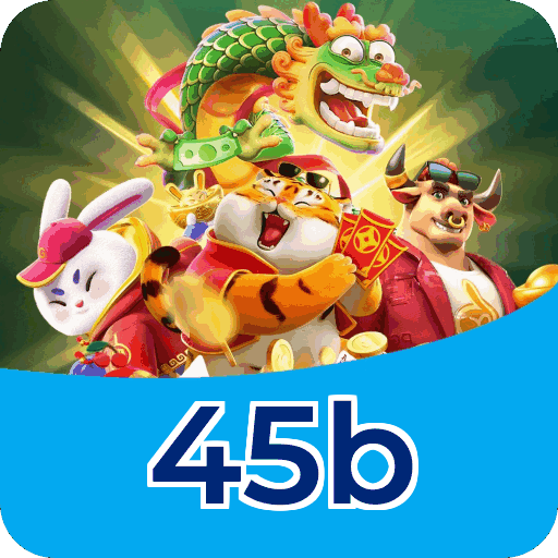 Termos e Condições Transparentes 45b